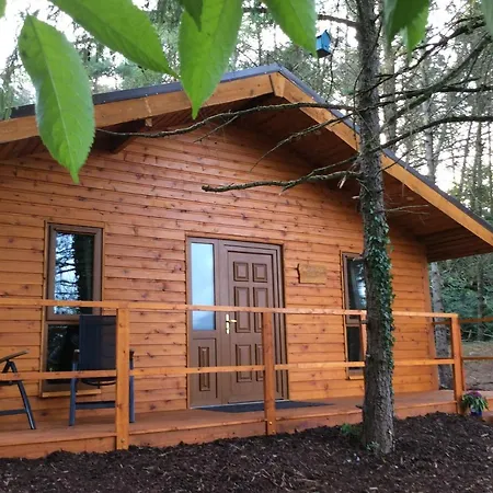 Lodge Butterfly *