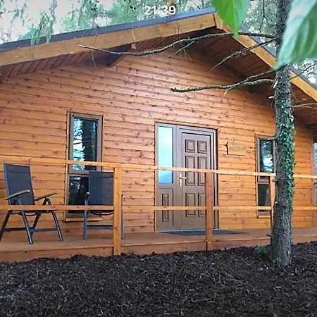 Lodge Butterfly *