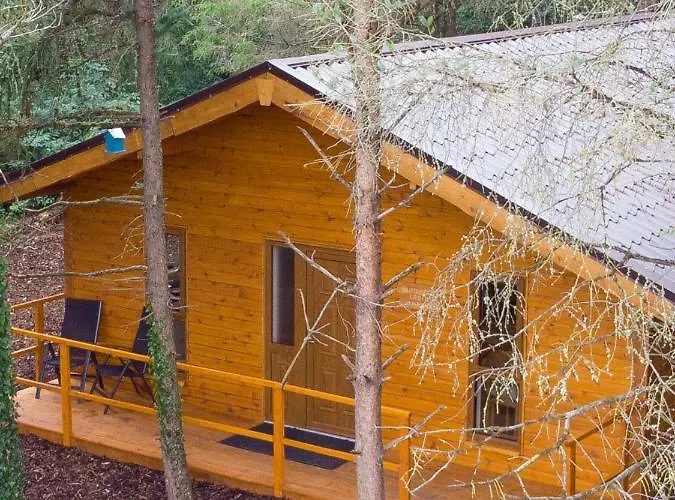 Butterfly * Limerick Junction