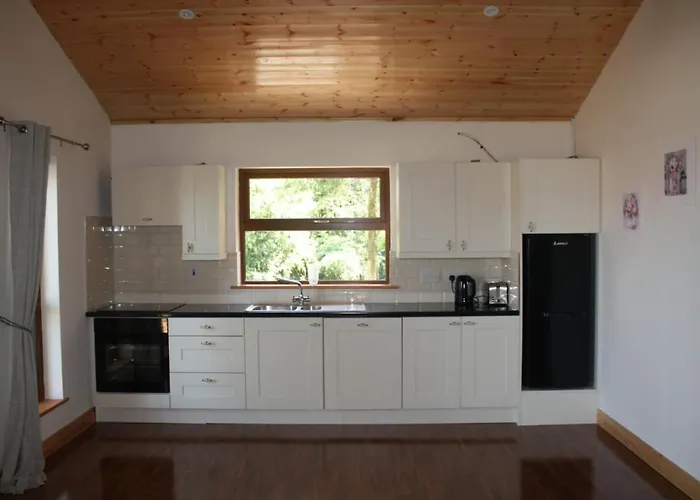 Butterfly * Limerick Junction