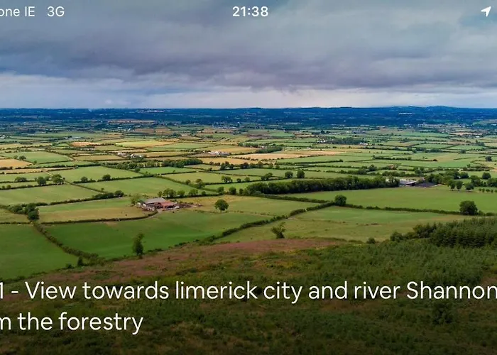Butterfly Limerick Junction