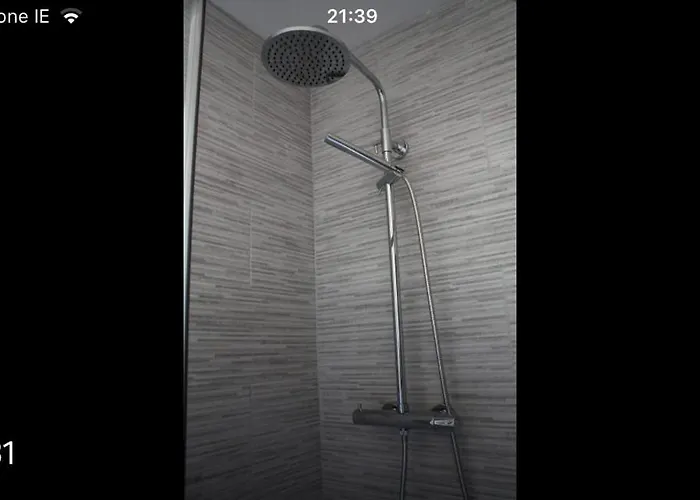 Butterfly * Limerick Junction